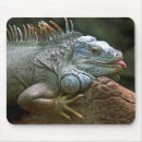 Search for iguana mousepads Animal