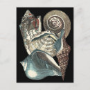 Search for seashell postcards Shells