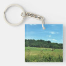 Search for bale key rings Field