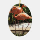 Search for flamingo christmas decor Birds