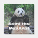 Search for pandas magnets Save