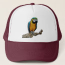 Search for feathered birds hats Green