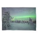 Search for national park pillowcases Ice