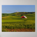 Search for palouse posters Scene