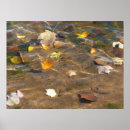 Search for water fall posters Autumn