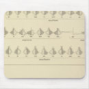 Search for insanity mousepads United