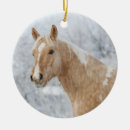 Search for paint horse christmas tree decorations Pony