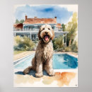 Search for labradoodle dog posters Canine