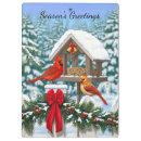 Search for winter cardinal Pine trees