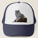 Search for wolf hats Alpha