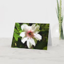 Search for cherry tree cards Nature