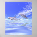 Search for blue dolphins posters Nature