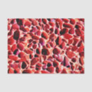 Search for beach tissue paper Seaside