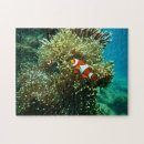 Search for marines photography Marine animals