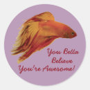 Search for betta stickers Fish