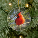 Search for portrait christmas tree decorations Cardinal