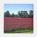 Search for crimson magnets Nature