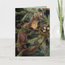 Search for growth cards Forest