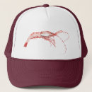 Search for boils hats Shrimp