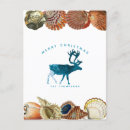 Search for florida seashells cards Ocean