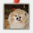 Search for pomeranian christmas tree decorations Pets