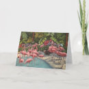 Search for pink flamingo christmas cards Florida