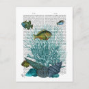 Search for blue shells postcards Marine life