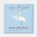 Search for bundle magnets Baby
