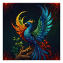 Search for birds of a feather posters Colourful