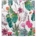 Search for exotic shower curtains Cactus
