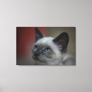 Search for part 1 canvas prints Enjoyment