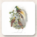 Search for bird lovers barware Cute