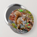 Search for eats badges Squirrels
