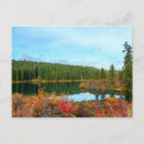 Search for clearing postcards Trees