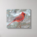 Search for cardinal bird art Snow