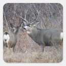 Search for buck and doe stickers Deer