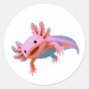 Search for kawaii fish stickers Cute axolotl