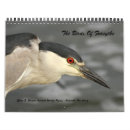 Search for refuges Photography