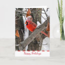 Search for funny cardinals cards Winter