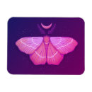 Search for witchy magnets Purple
