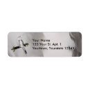 Search for pet bird return address labels Cockatiel