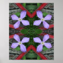 Search for clematis posters Floral