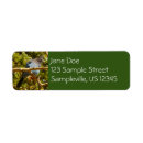 Search for blue jay return address labels Photography