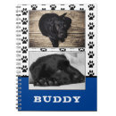 Search for photo album book Cute