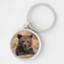 Search for grizzly bear key rings Outdoors
