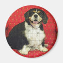 Search for spanials Dog