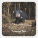 Search for devils labels Australia
