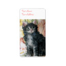 Search for kitten labels Animal