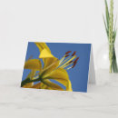Search for yellow mothers day cards Floral