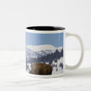 Search for yellowstone bison mugs Nature